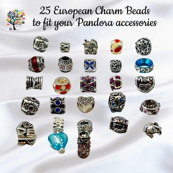 Dragonfly Spirit Designs Jewelry - Themed European Charm Beads in Silverplate Set of 25 All Different!